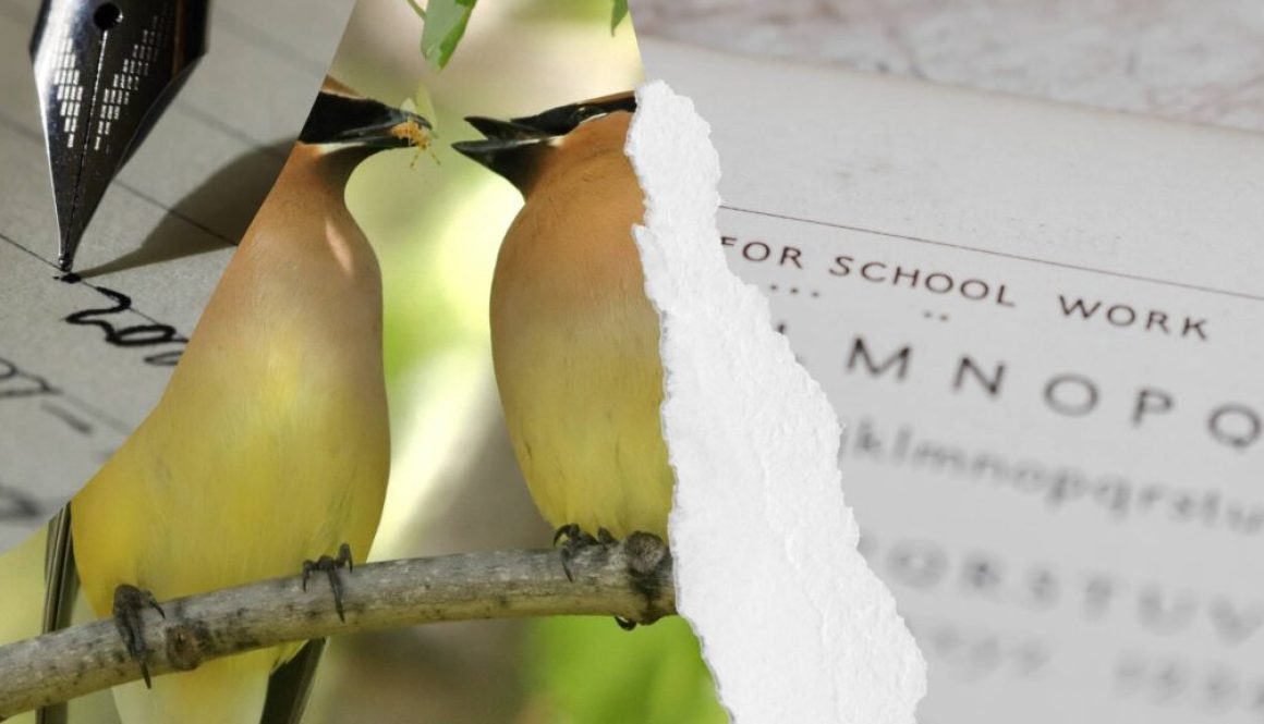 The Art of Writing - Nature or Nurture-1