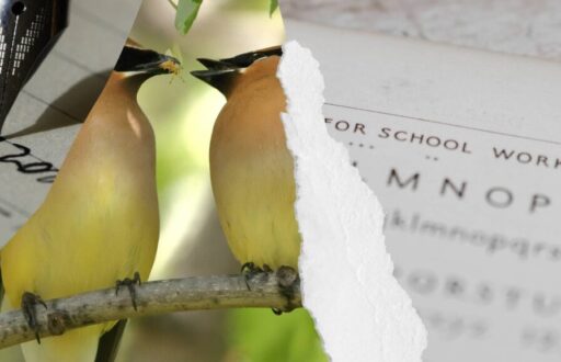 The Art of Writing - Nature or Nurture-1