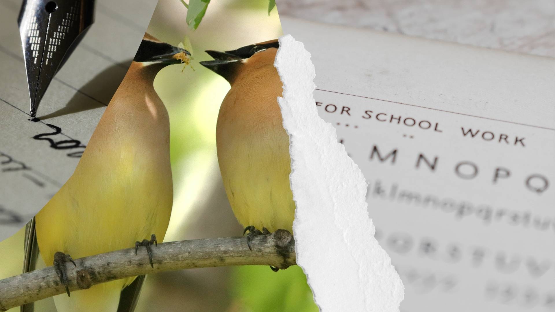 The Art of Writing - Nature or Nurture-1