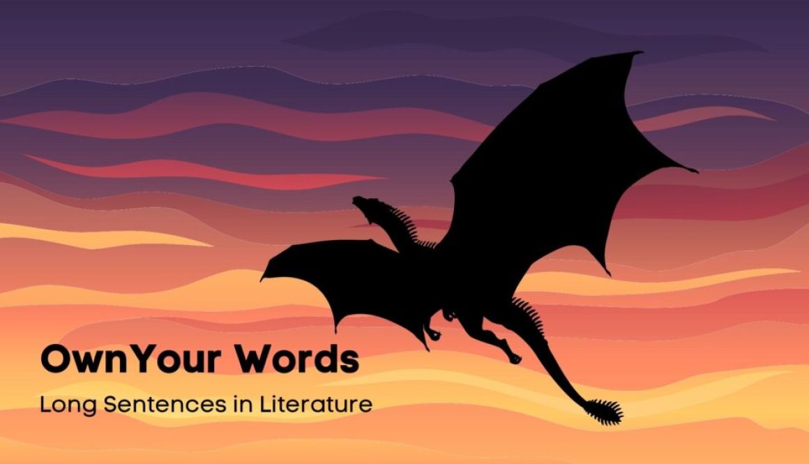 Long Sentences in Literature